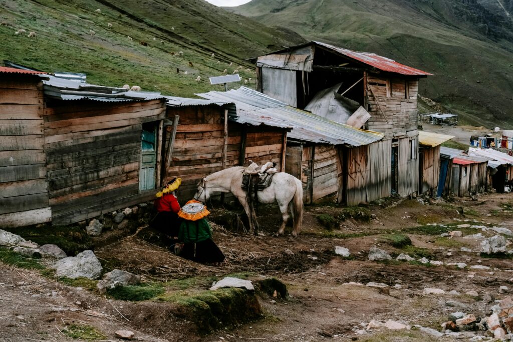 Meet the Local Llamas and Take Iconic Photos