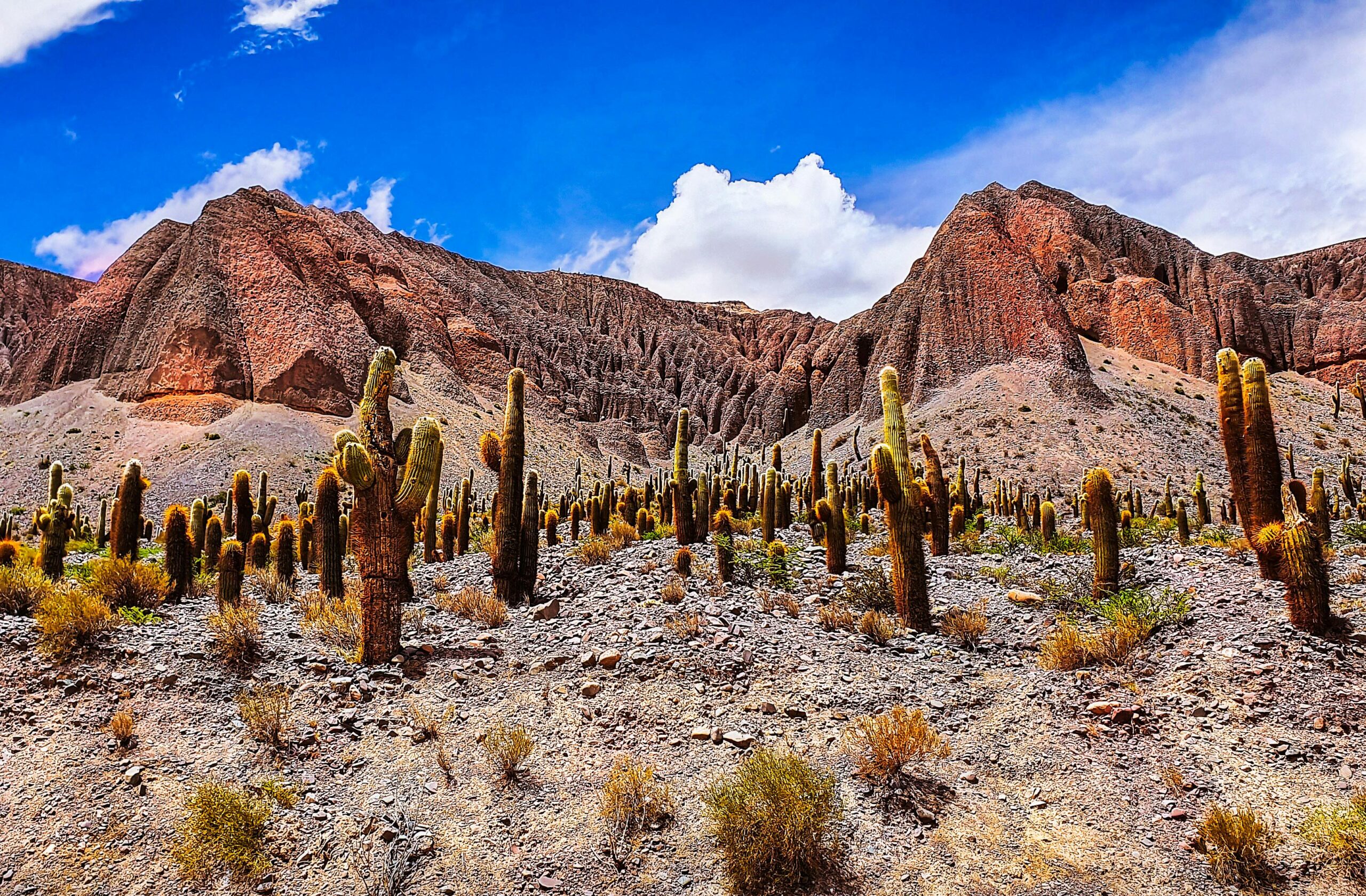 Quebrada de Humahuaca