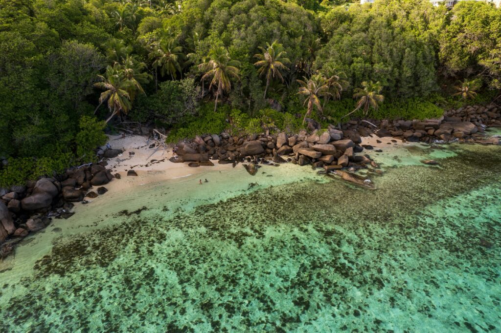 Secluded beach in the Seychelles with turquoise waters, granite boulders, and lush palm trees—one of the top tropical escapes and most beautiful islands in the world
