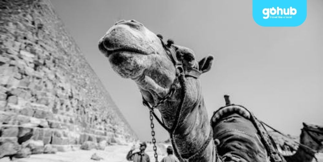 how much does an eSIM cost in Egypt